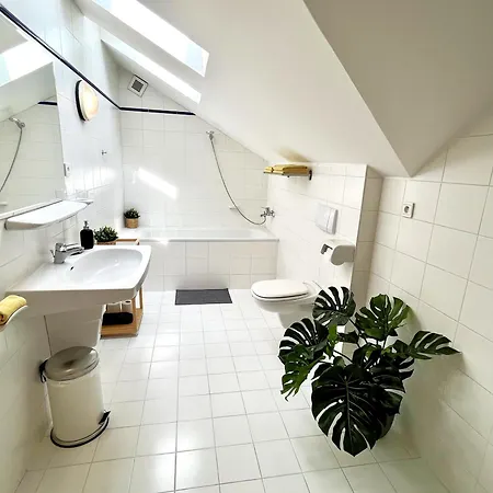 Dlouha Apartment Tabor